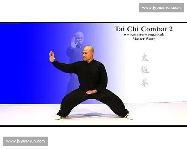 太极拳与咏春拳实战理念内功外劲攻防体系深度对比解析全面研究